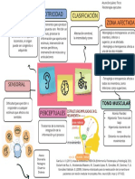 Organizador Grafico Mapa Mental Doodle Multicolor