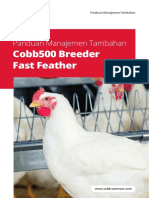 Indonesian Cobb500 - Fast Feather - Supplement 2020