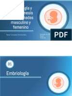 Embriologia 
