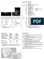 Australopithecus Sediba - Cheatsheet