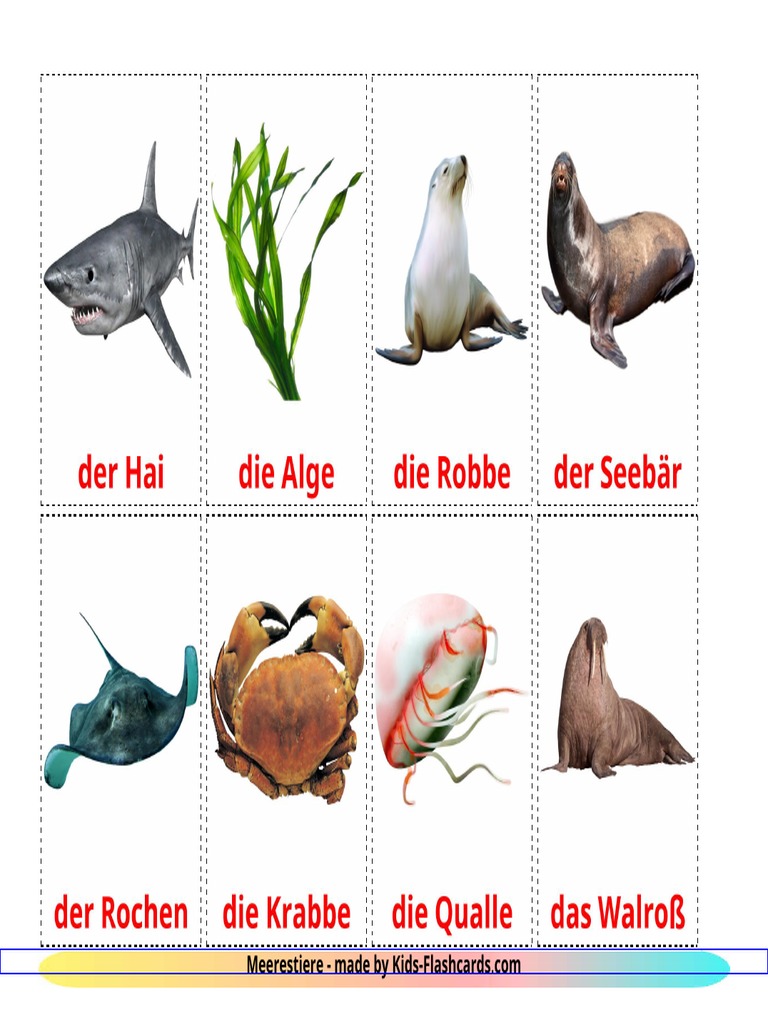 meerestiere-8-a4 | PDF