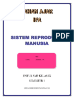 Sistem Reproduksi Manusia