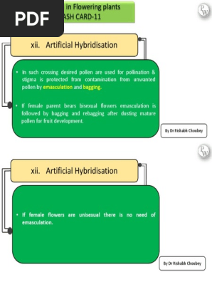 Sexual reproduction in flowering plant ncert flash card 11