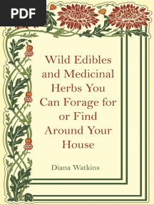 Wild Edibles and Medicinal Herbs You Can Forage For or Find Around Your House