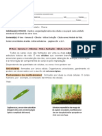 6 Ano Semana 02 Ciencias Vida e Evolucao Celula Como Unidade Da Vida PDF