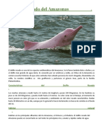 El Delfín Rosado Del Amazonas