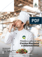 Programa Tecnico Laboral Cocina Nacional Internacional