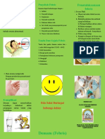 Febris_leaflet
