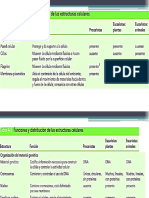 Anatomia y Fisiologia Celular Orgaelos