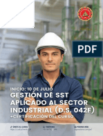 Catalogo Gestion de SST Basada en El DS 42 F