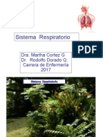 Anatomia y Fisiologia Del Aparato Respiratorio 2017