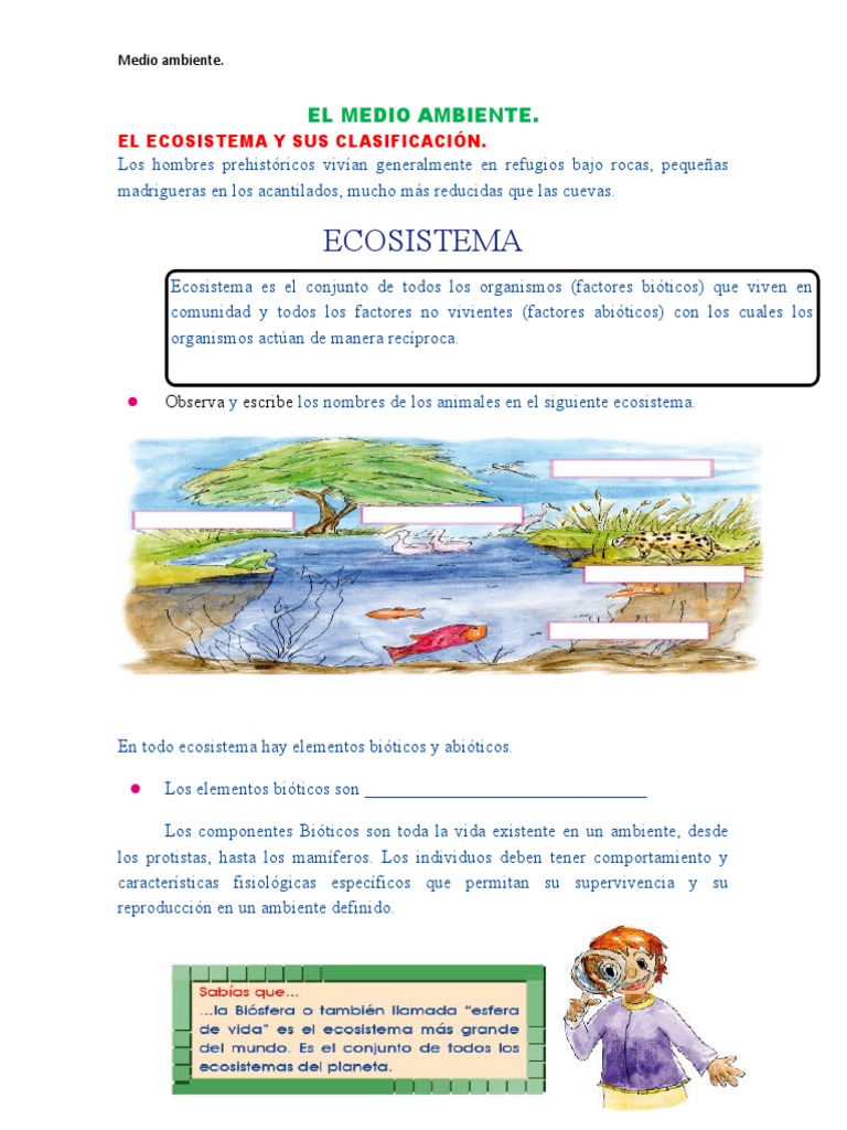 El Medio Ambiente | PDF | Ecosistema | Entorno natural