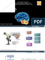 Cerebelo Fisioterapia - 2018