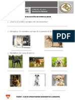 EN-034 Perros EXAMEN