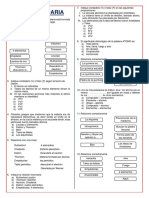 2dosecundaria REPASO 2023 Tema 7 8 y 9