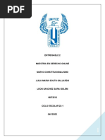 Entregable2 Nuevoconstitucionalismo Leonsanchezsaraiselem 18072512