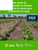 Guía Visual de Identificacion de Malezas Del Cultivo de Poroto para La Provincia de Jujuy