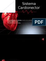 Sistema Cardionector