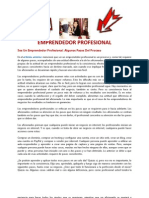 Emprendedor-profesional-3