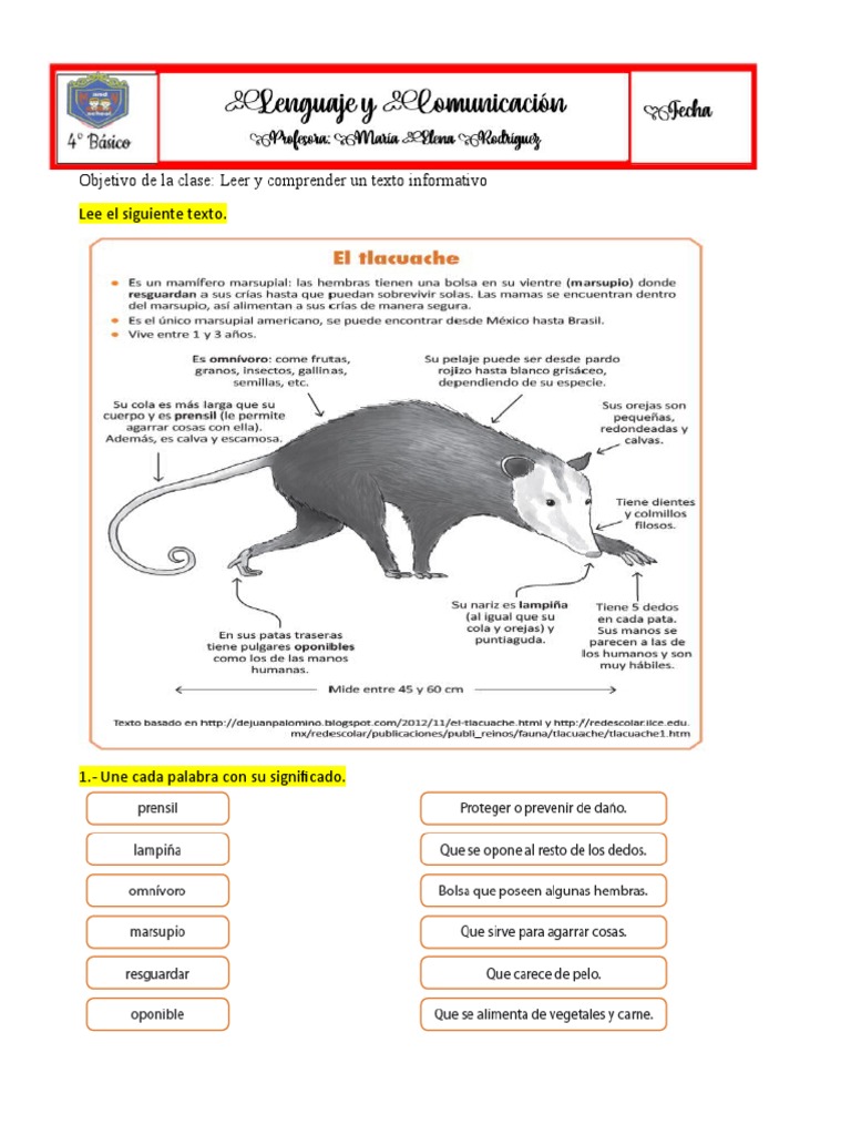 Formato De Guías Pdf