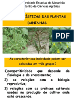 2023Aula 2 -característica das PDs (1)