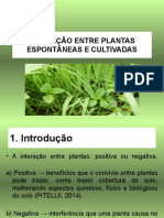 Aula Interfer6encia Entre Plantas Espontâneas 2021