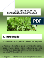Aula Interfer6encia Entre Plantas Espontâneas 2021