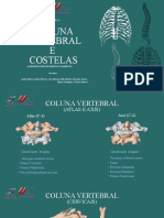 Costelas e Vertebras