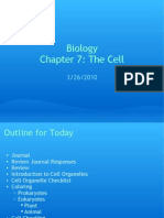 Biology Chapter 7: The Cell