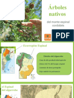 Taller Sobre Árboles Nativos Del Espinal