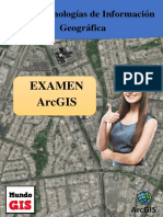 Examen Final de Arcgis Básico