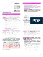 Endocrino 1 - Eje HHG