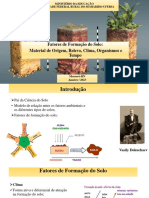 Fatores de Formao Do Solo