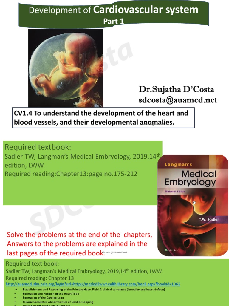 Development of Heart & Vasculature Part 1 F2023 DR D Costa PDF