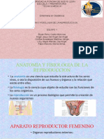 Equipo 1, Gpo 413. Anatomía y Fisiología de La Reproducción. 28 de Enero
