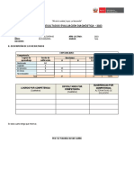 Formato Informe Evaluación Diagnóstica
