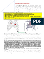 Auscultacion Cardiaca