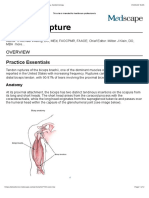 Lumbar Compression Fracture: Practice Essentials, Pathophysiology,  Epidemiology