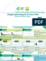 Perkembangan Situasi Penyakit Infeksi Emerging Minggu Epidemiologi Ke-12 Tahun 2023