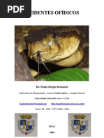 OfidismoPauloBernarde