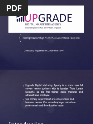 Upgrade Digital Marketing Entrepreneurship Niche Proposal-3