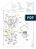 HW LA Anatomy RPS 2
