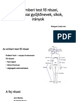 Az Emberi Test Fő Részei, Anatómiai Gyűjtőnevek, Síkok, Irányok - 1682453673 - 1683355008