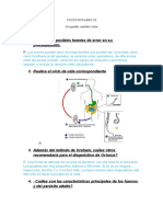 Cuestionario 15