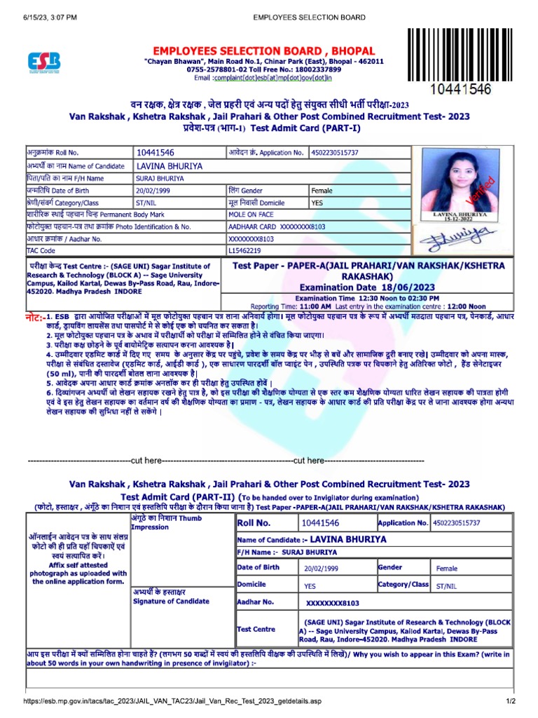 Lavina | PDF
