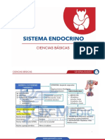 Sistema Endocrino