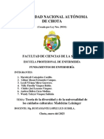 Seminario 4. La Teoria de Madeleine Leininger