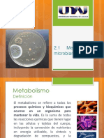 Sesión 2.1 Metabolismo Microbiano