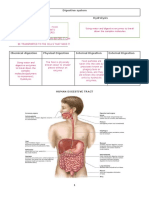 Digestive System Lecture Notesdocx