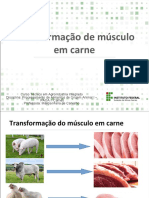 Transformao de Msculo em Carne - Slides